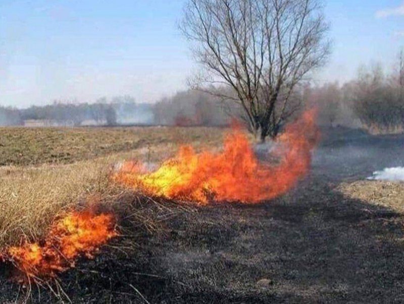 Он гарсаар 23 удаагийн ой, хээрийн түймэр бүртгэгдээд байна